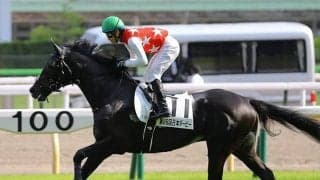 【菊花賞 13時時点オッズ】ステラヴェローチェが単勝3.9倍の1番人気、レッドジェネシスが4.5倍で続く