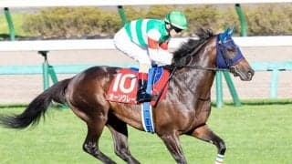 【菊花賞・馬体重】ステラヴェローチェは494kg(-12)、オーソクレースは474kg(-2)