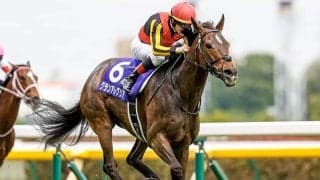 三冠馬と短距離女王が天皇賞・秋で再戦！/今週の競馬界の見どころ