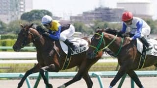 【アルテミスS登録馬】ロムネヤなど11頭