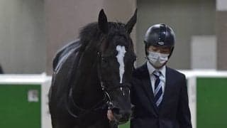 【富士S】売上は45億3051万8600円で昨年からおよそ3.3億円の増加