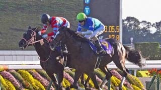 【天皇賞・秋 注目馬】有終の美へ向けて負けられない戦いが始まる