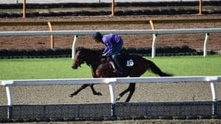 母系にGI4勝のクロノジェネシス、アドマイヤジェイがデビュー/関西馬メイクデビュー情報