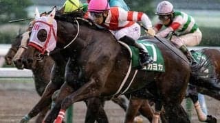 【先週のJRA抹消馬】熊本産馬ヨカヨカ、2019年フェアリーS覇者フィリアプーラなど