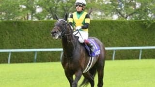 【天皇賞秋 予想】AI本命◎は距離が不安視される「あの馬」!? 多士済々の頂上決戦を人工知能が解き明かす！