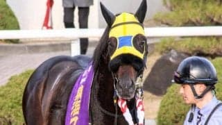 【オータムリーフSハンデ確定】エアアルマスは58.0kg、メイショウウズマサは55.0kg