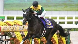 父ドゥラメンテが取り逃した菊花賞　タイトルホルダーの勝利に母メーヴェの影響も