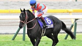 【天皇賞・秋 想定騎手】コントレイルは福永祐一騎手、エフフォーリアは横山武史騎手