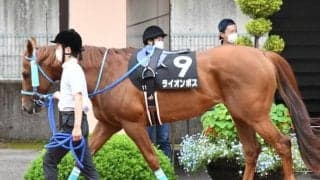 【ルミエールADハンデ確定】ライオンボスは58.0kg、タマモメイトウは55.0kg