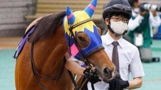 【スワンS展望】昨年は単勝万馬券が出た波乱含みのGI前哨戦