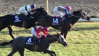 ウマ娘の人気キャラもいっぱい。天皇賞・秋で名馬たちが繰り広げた数々の極上ドラマ