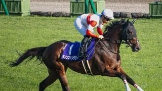 【スワンS想定騎手】ダノンファンタジーは川田将雅騎手、ステルヴィオは和田竜二騎手