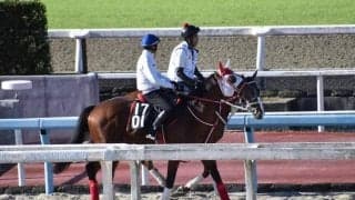 ディーンズリスターなど、先週のゲート試験/栗東トレセンニュース