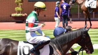 【アルテミスS予想オッズ】フォラブリューテが予想1番人気