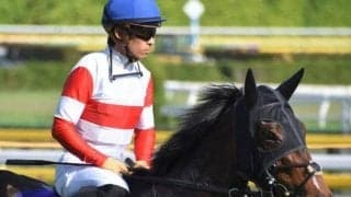 【スワンS予想オッズ】ダノンファンタジーが予想1番人気、クリノガウディーが続く