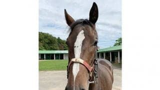 ジャンポケ斉藤がジャングルポケット産駒を購入「この先も名を残していきたい」 