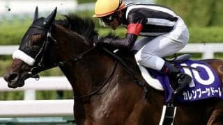 【天皇賞・秋 注目馬】重賞2着6回、伝統の大舞台で黄金の大輪を咲かせるか
