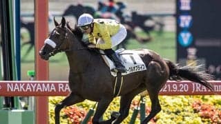 【アルテミスS展望】2歳牝馬の出世レース、注目はあの馬