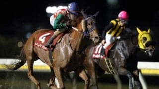 【船橋・クイーンズオーディション結果】矢野貴之騎手騎乗の1番人気セパヌイールが勝利