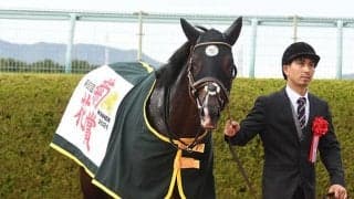 【次走】タイトルホルダーは放牧へ　栗田師「選択肢として香港や有馬記念、馬の状態を見ながら」