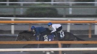 レッドベルアーム、東京スポーツ杯2歳S追い切り速報/栗東トレセンニュース