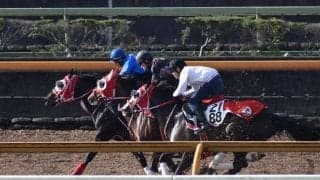 ダノンファラオ、JBCクラシック追い切り速報/栗東トレセンニュース