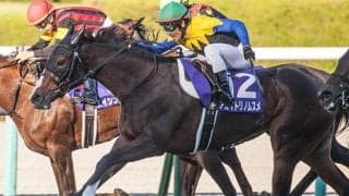 【エリザベス女王杯想定】秋華賞覇者アカイトリノムスメ、重賞2勝のテルツェットなど