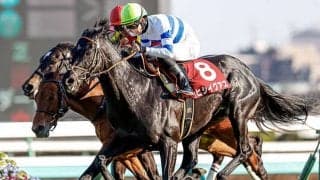 【天皇賞・秋「見逃せない調教師」ベスト3】東京芝2000mで複勝率63.5％、複勝回収率110％。「見つけたら買い！」の調教師は？
