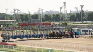 大井競馬場が世界唯一の左右両回りコースへ！初の左回りレースは11月19日に実施