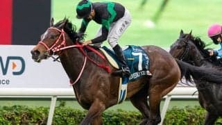 【香港ヴァーズ】ラヴズオンリーユー、タイトルホルダー、ユーバーレーベンなど日本馬14頭が登録