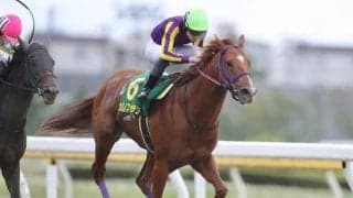 JBCクラシックで地方馬初制覇を狙うカジノフォンテンが第1位！ 第4回地方競馬ファン投票結果発表
