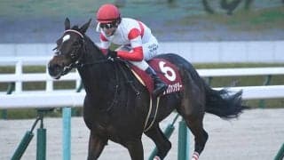 【スワンS「見逃せない調教師」ベスト3】スピードとパワーが求められる阪神芝1400mで大活躍。馬券で押さえておくべき調教師は？