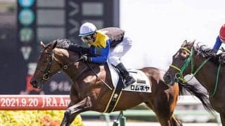 【アルテミスS「見逃せない調教師」ベスト3】○○調教師は、勝利数、複勝率、複勝回収率全てで出走調教師中トップ