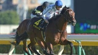 【次走】デビュー2連勝のドウデュースは朝日杯FSかホープフルSを視野