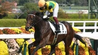 【次走】4.7億円馬リアドは年明けの若駒Sを目標　新馬戦を3馬身差V