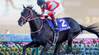 【天皇賞・秋枠順確定】コントレイル1枠1番、グランアレグリア5枠9番、エフフォーリア3枠5番