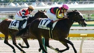 【新馬/東京4R】ロードカナロア産駒 スクルトゥーラがデビューV