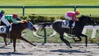 【新馬/東京4R】サトノアラジン産駒 オメガブルームがデビューV