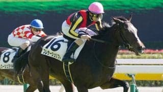 【新馬/東京5R】ハービンジャー産駒 プレサージュリフトがデビューV