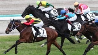 【新馬/阪神4R】ディープインパクト産駒 スプレットザシーがデビューV