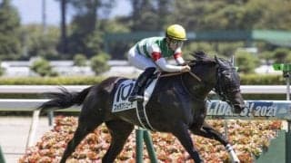 【アルテミスS出走馬・騎手確定】フォラブリューテ＆ルメール騎手、ベルクレスタ＆松山弘平騎手など11頭