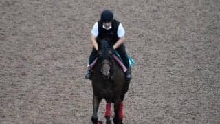 【JRA新馬戦】ダノンプラチナの全弟アスクヴィヴァユーなどがデビュー