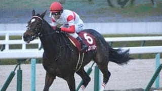 【スワンS出走馬・騎手確定】ダノンファンタジー＆川田将雅騎手、クリノガウディー＆岩田康誠騎手など18頭