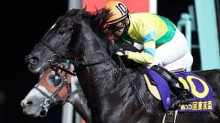 【金沢・JBCスプリント出走予定馬】重賞6勝サクセスエナジー、船橋アランバローズら