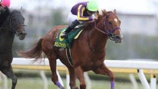 【金沢・JBCクラシック出走予定馬】3年連続2着オメガパフューム、船橋カジノフォンテンら