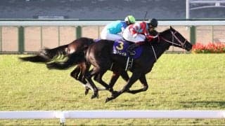 【天皇賞・秋】出走馬の調教後の馬体重