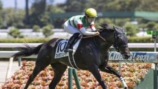 【アルテミスS枠順確定】フォラブリューテは6枠6番、ベルクレスタは2枠2番