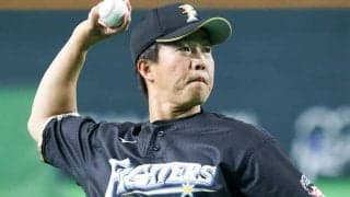 29日の公示　日本ハムは鶴岡慎也、ロッテは3投手が昇格、広島は大瀬良＆森下を抹消