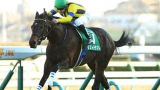 天皇賞・秋は人気２頭に不安あり。穴党記者が推奨する「好配当の使者」とは？