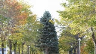 北海道北見ミントライド（後編）